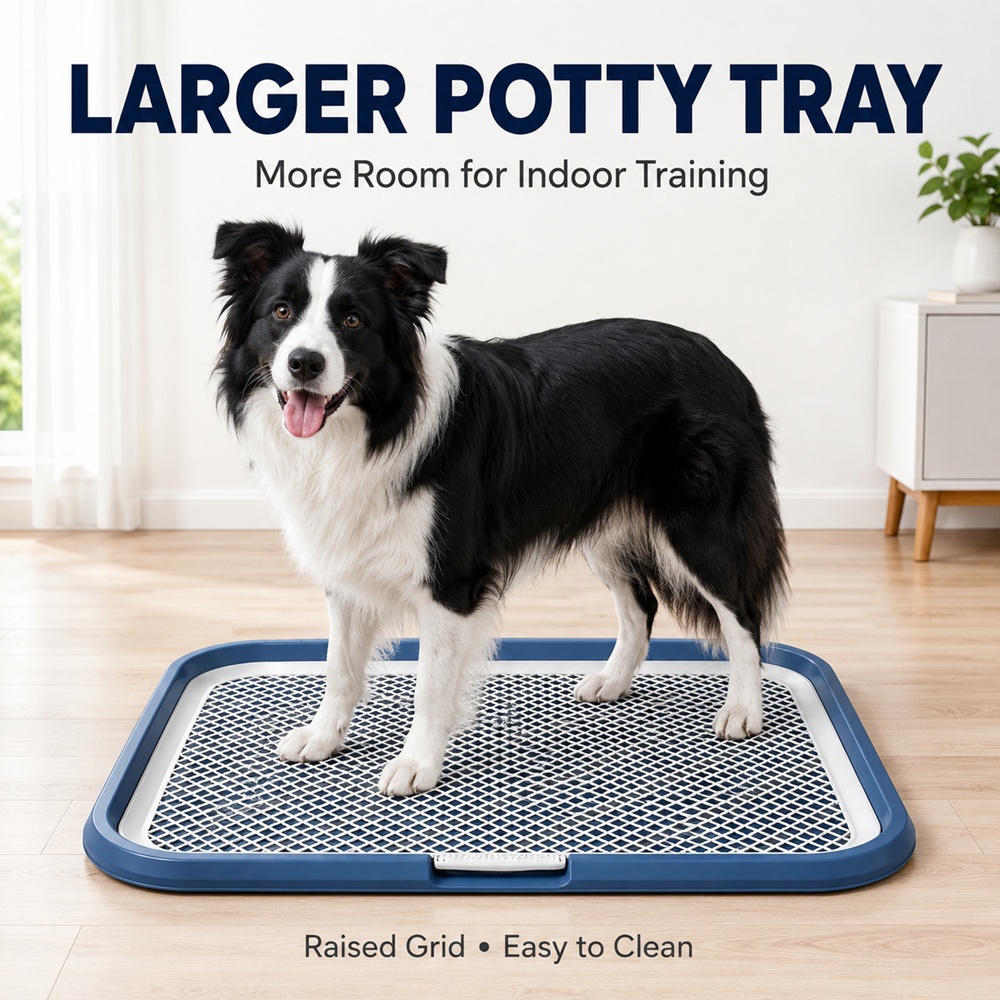 c0318ad2-1f3f-41a8-b38c-558f18944fb8.jpg Indoor Dog Potty Tray with Raised Mesh Grid, 25.6 x 19.7 in - Image 1